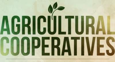 List Of Agricultural Cooperatives In South Africa