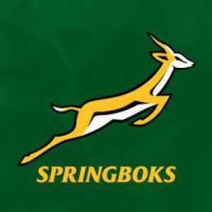 Springboks National Animal Of South Africa